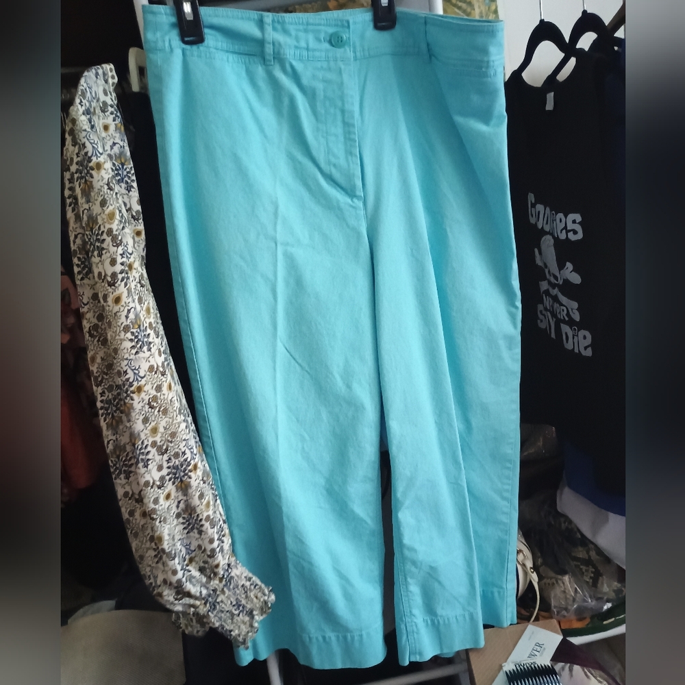 Turquoise Wide Leg Crop Chino Pants